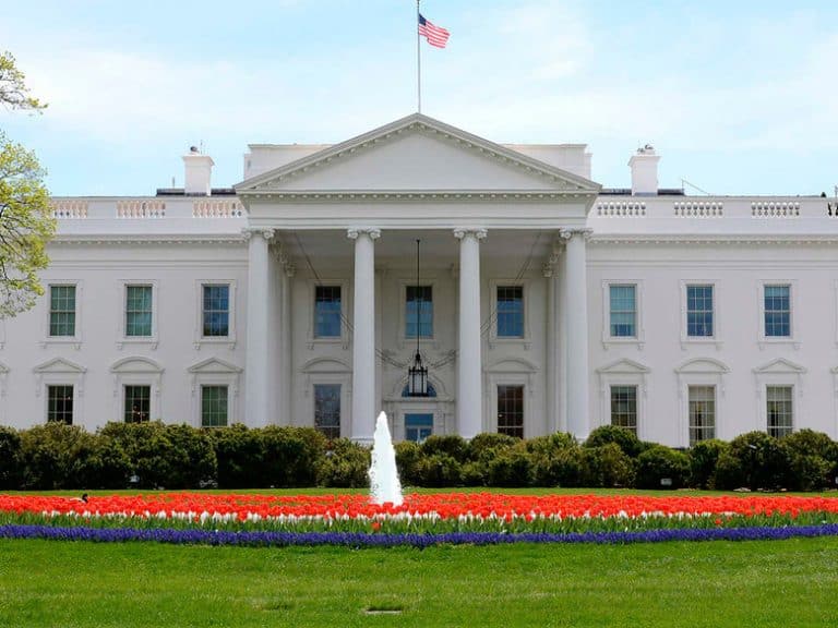 The 2 Passions Team Trump Needs Most