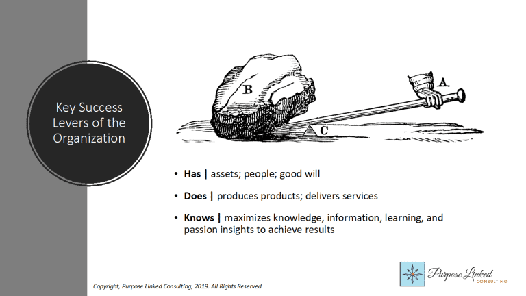 Harnessing diversity of thought for competitive advantage